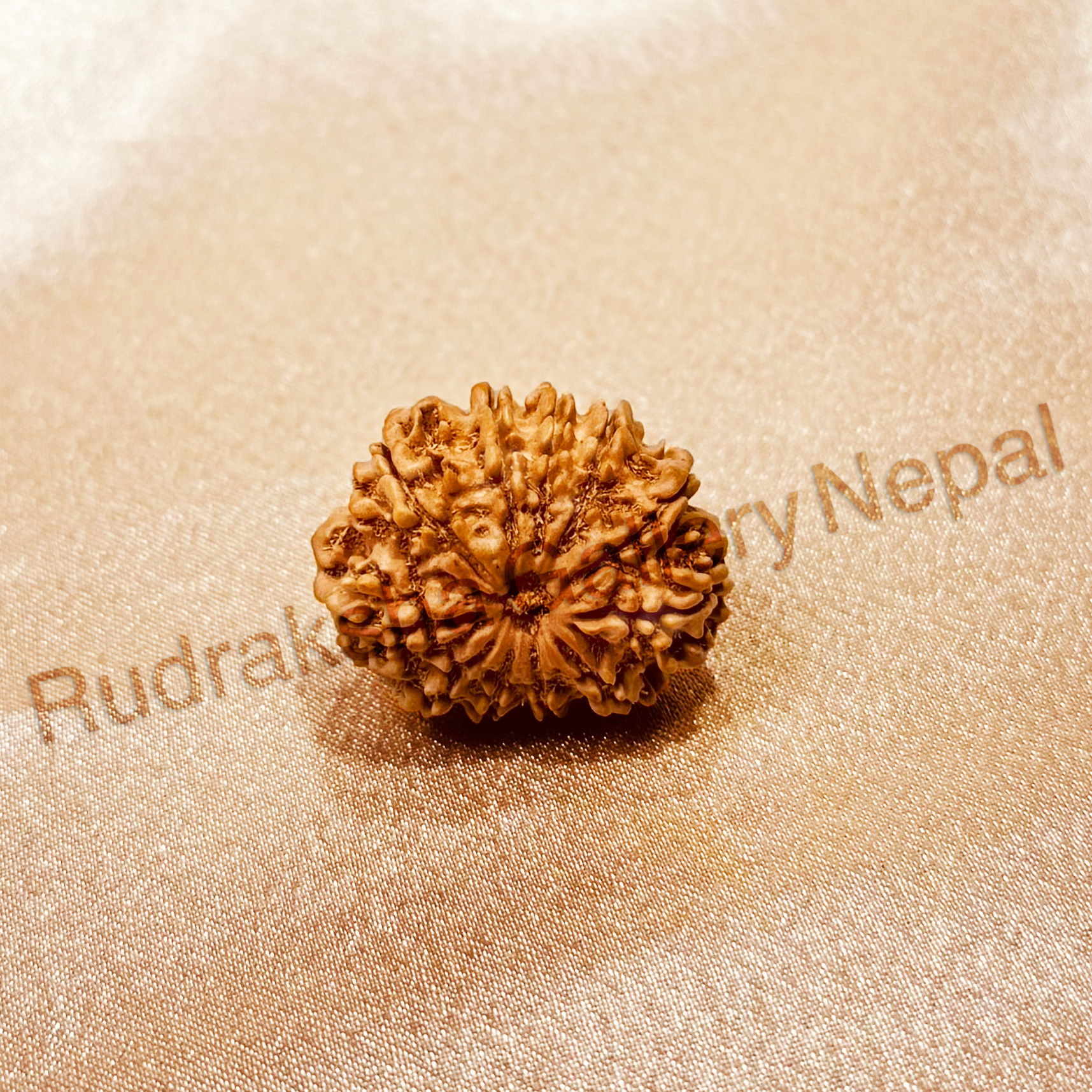 11 FACE RUDRAKSHA NEPALI BEAD